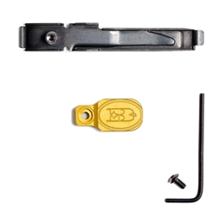 Paddle_x0020_and_x0020_Latch_x0020_-_x0020_Gold_x0020_